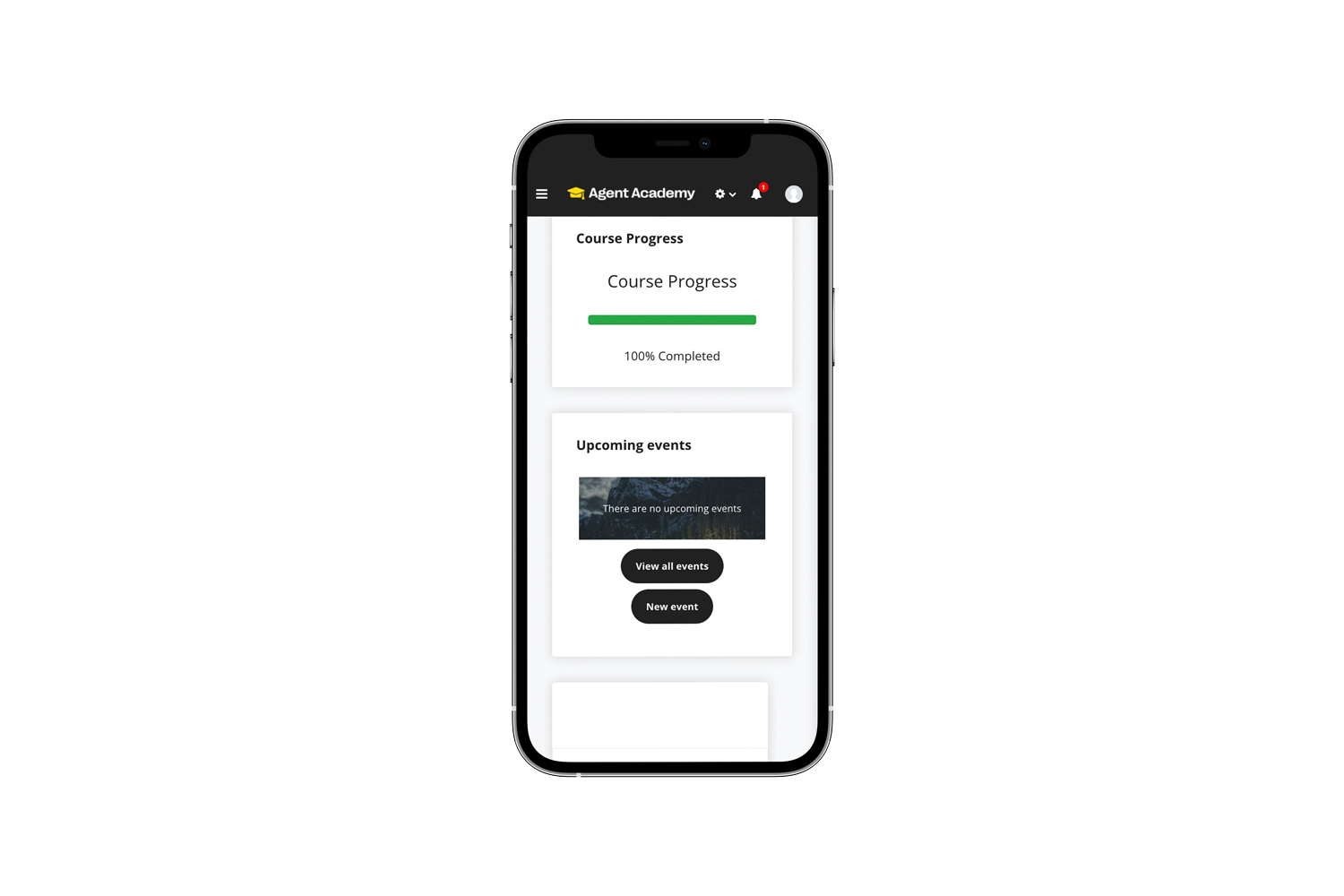 western union lms mockup auf handy